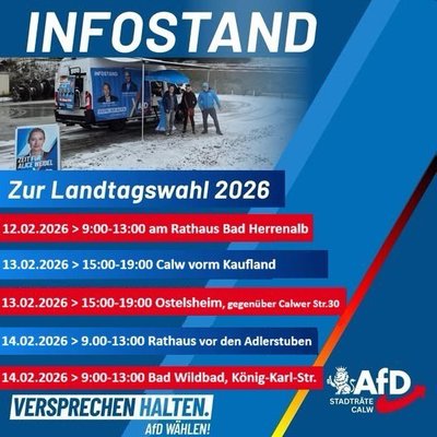 Event-Flyer AfD Infostand Bad Herrenalb 12.02.26