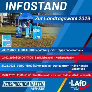 Event-Flyer AfD Infostand Schömberg 20.02.26