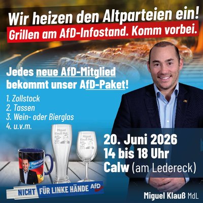 Event-Flyer AfD Infostand Calw, 20.06.2026