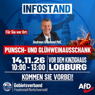 Event-Flyer AfD Infostand Lossburg 14.11.2026